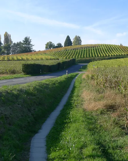 MIDarchitecture - Révision du PACom de la commune de Chigny dans le canton de Vaud